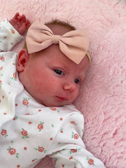 Pink Roses Hairbow Set