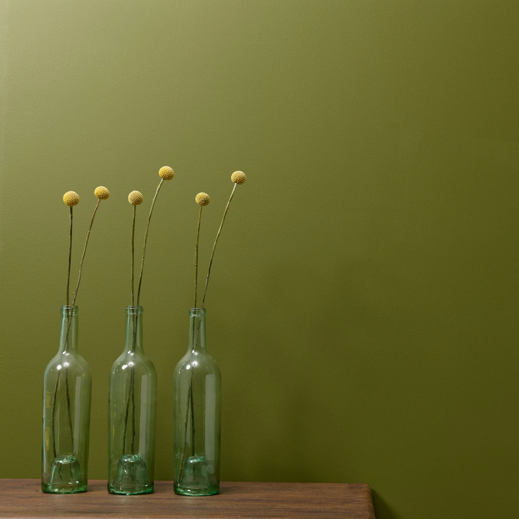 Constance Moss Wall Paint 2.5L