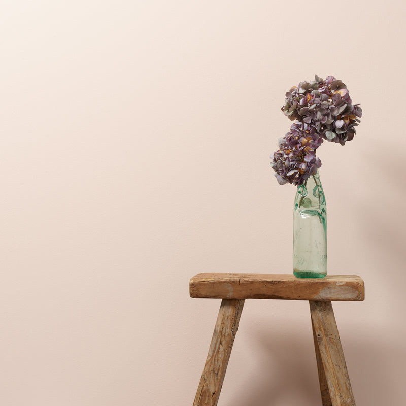 Sweetcheeks Wall Paint 2.5L