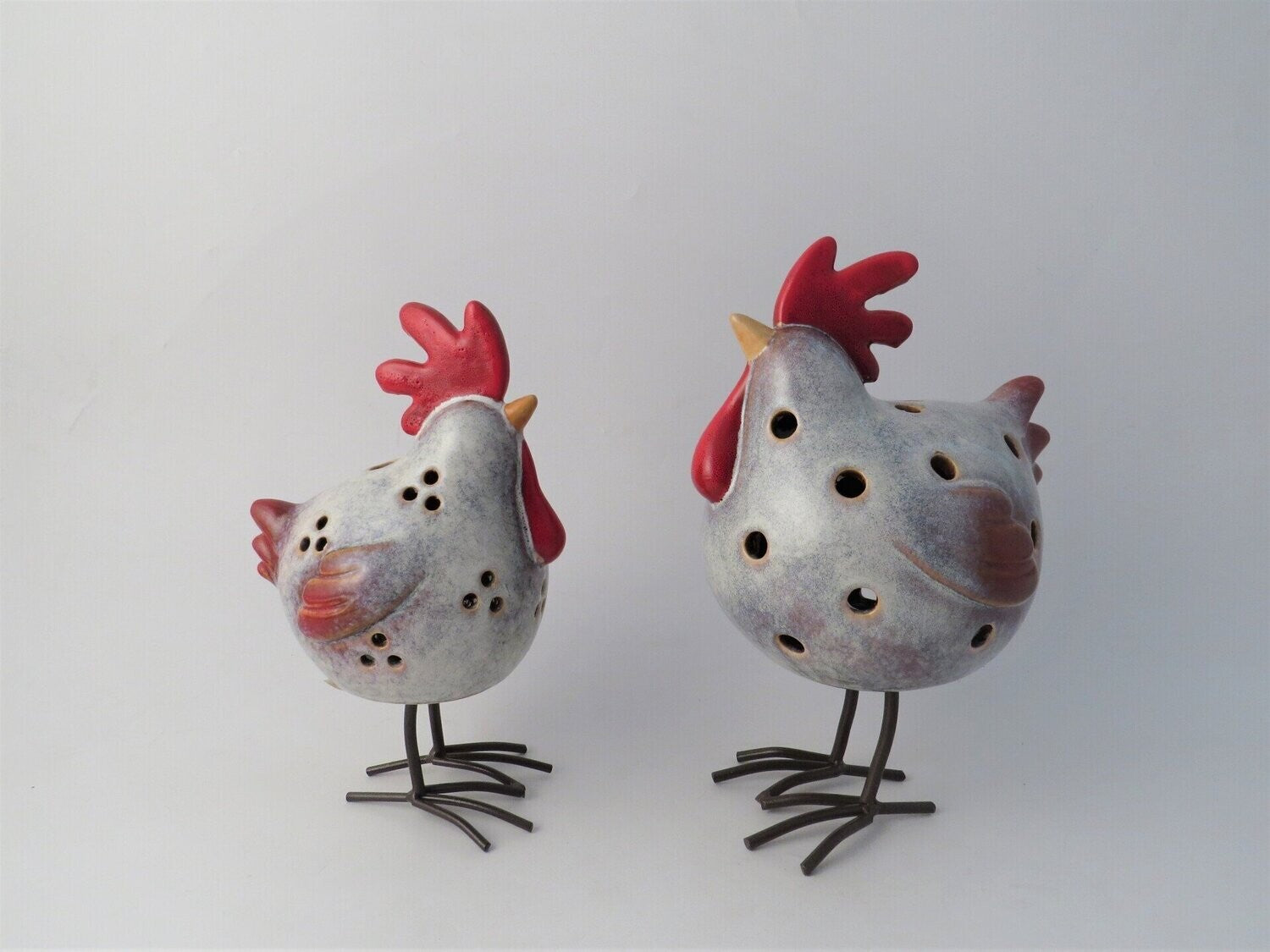 Birds