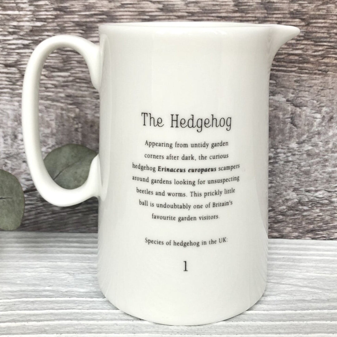 Hedgehog Jug