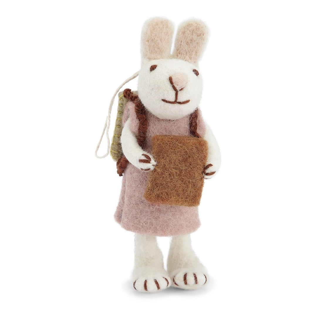 Bunny in Pink  Dress Holding A Book