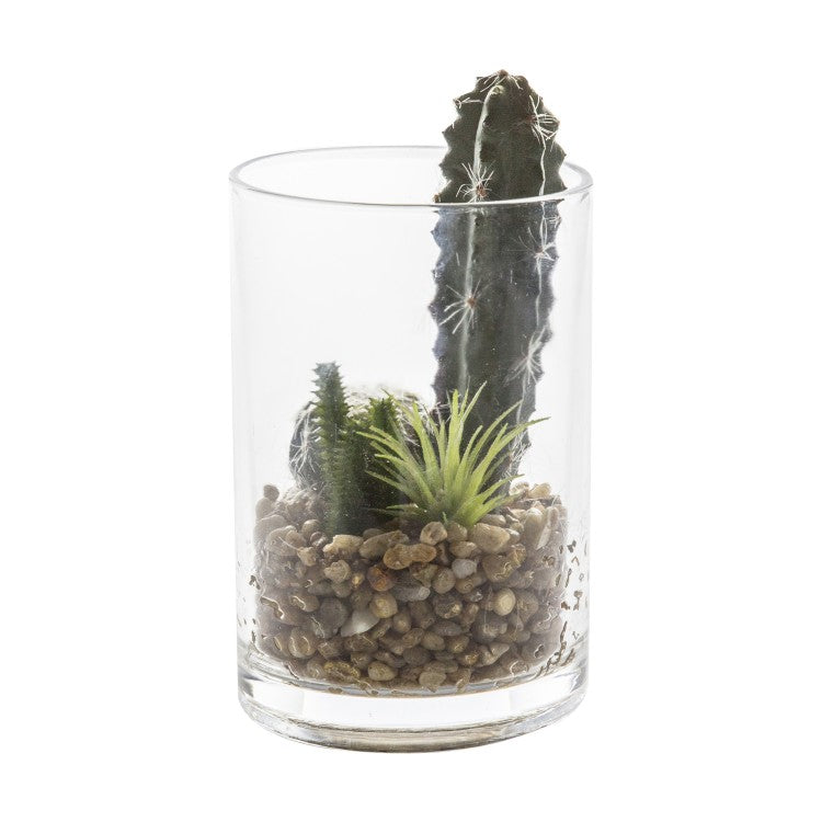 Cactus in Glass Jar