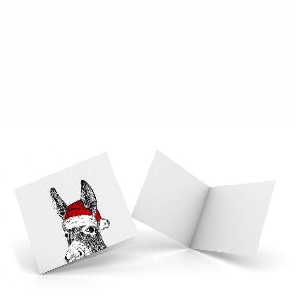 Christmas Donkey Pack of Four Notecards