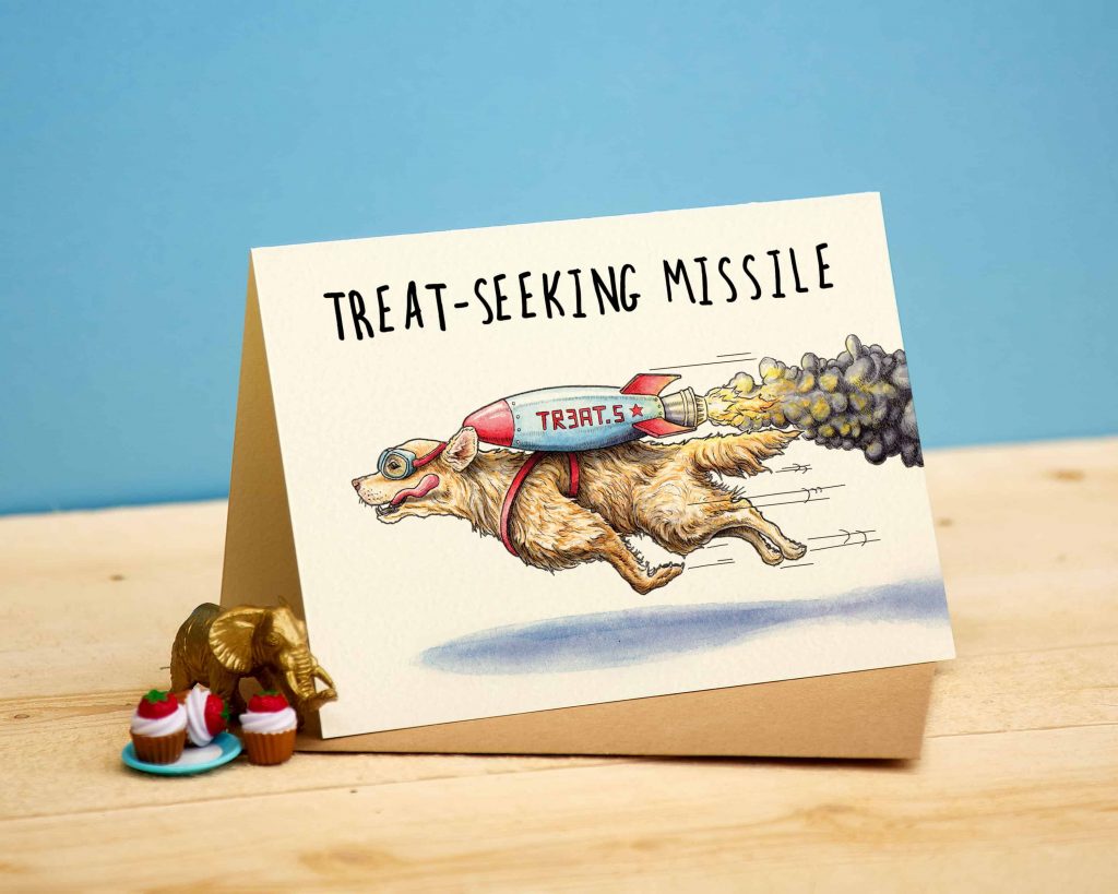 Treat Seeking Missile