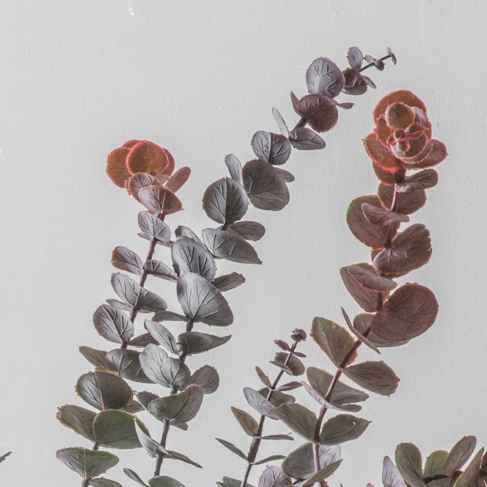 Eucalyptus Spray Faux Stem - Pink Blush