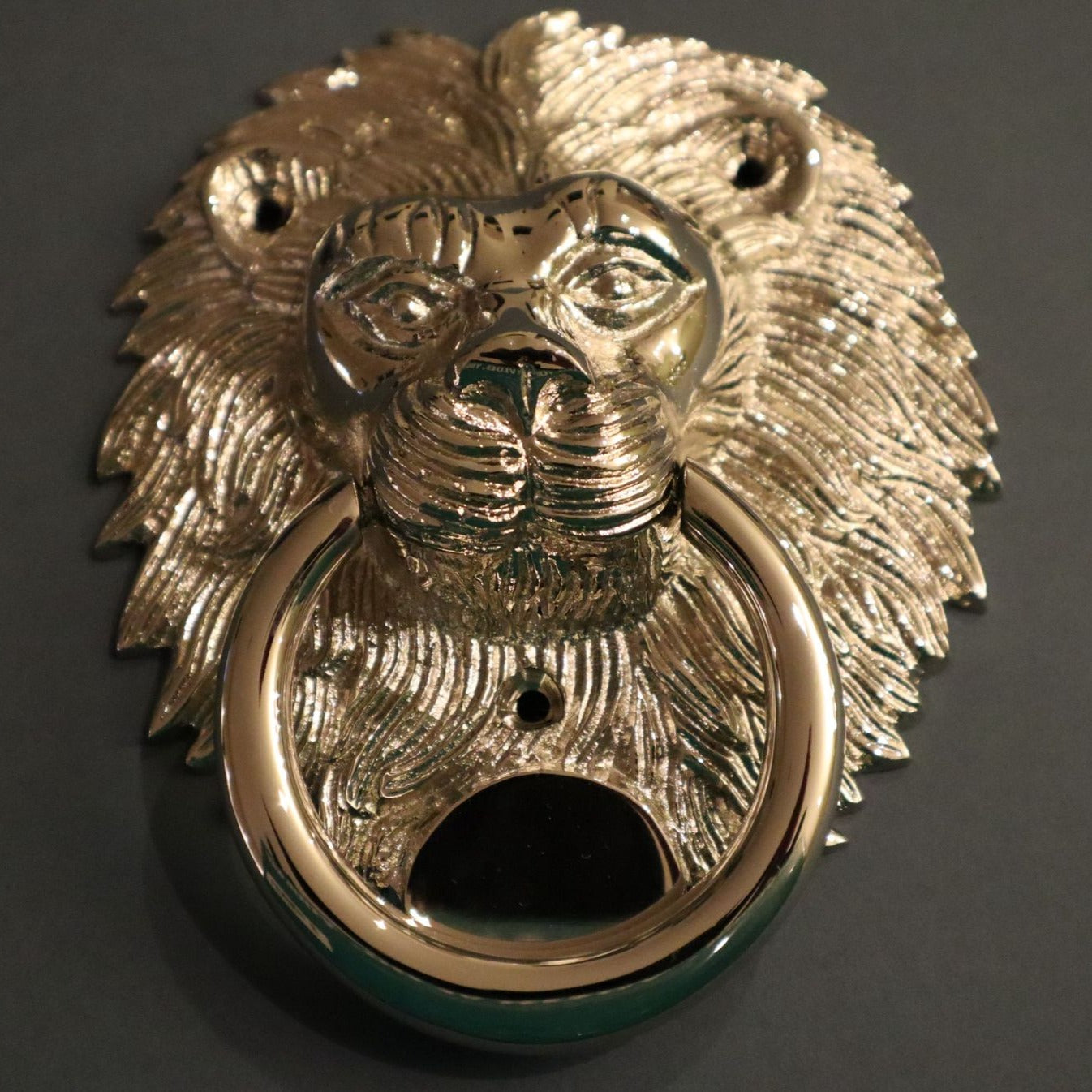 Lion Door Knocker