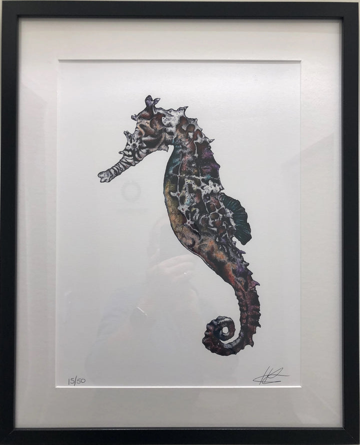 'Seahorse' Hayley Louise Crann - A4
