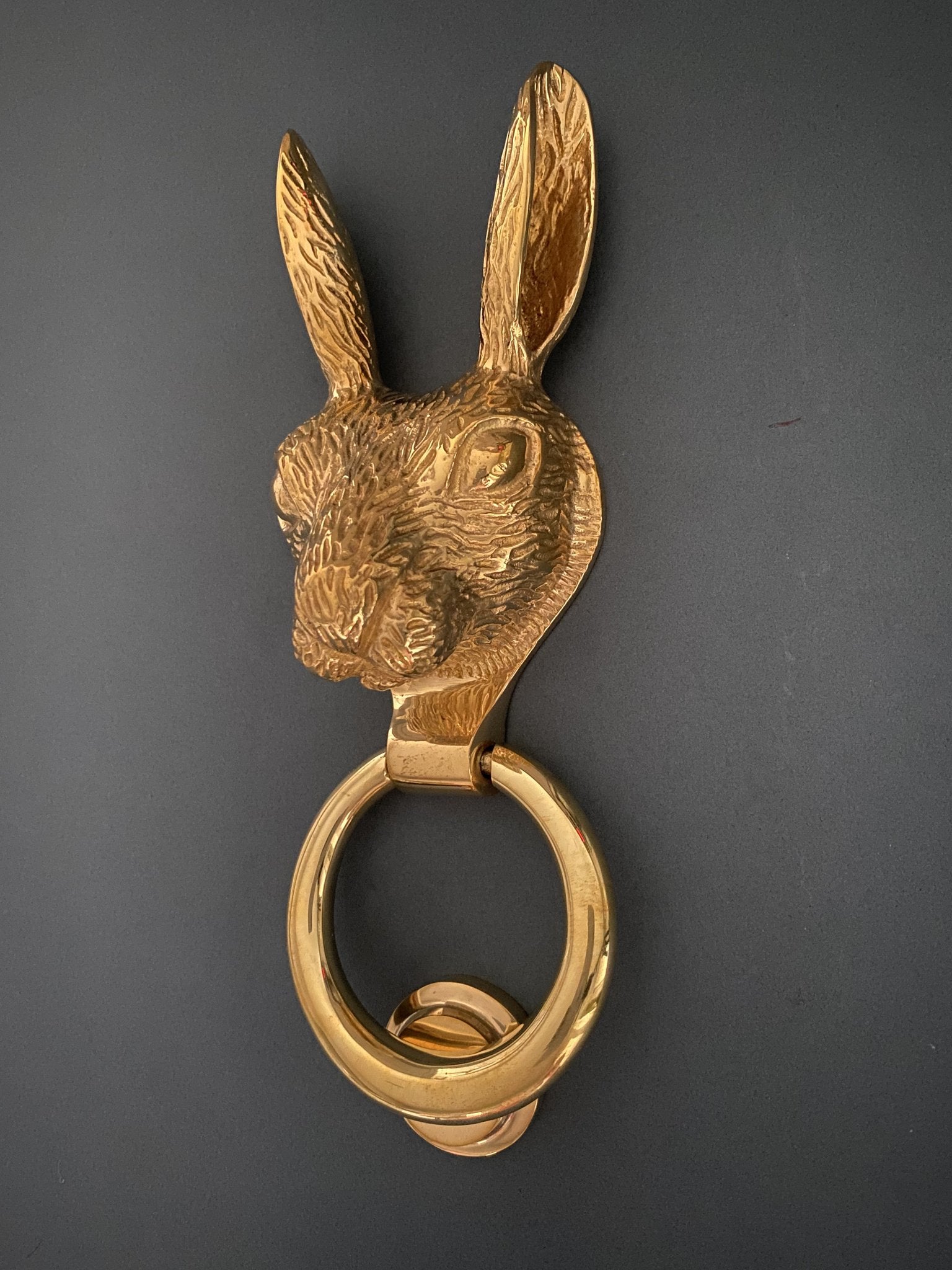 Hare Door Knocker
