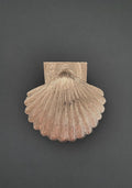Shell Door Knocker