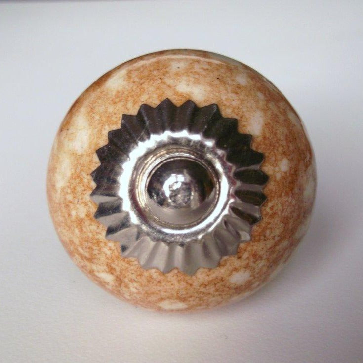 Brown Shell Round Knob