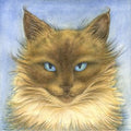 'Sapphire' Cat Greeting Card