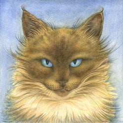 'Sapphire' Cat Greeting Card