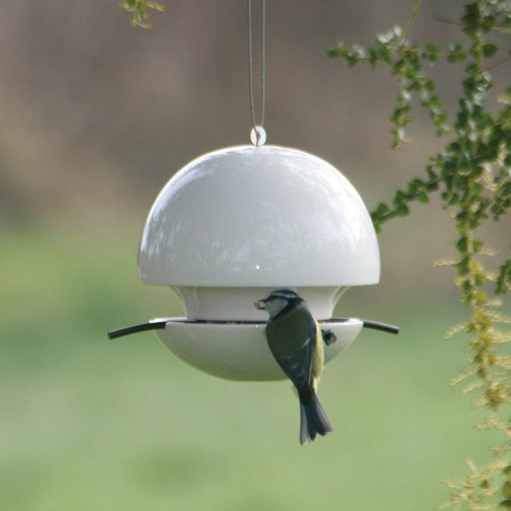 Bird ball Seed Bird Feeder - Blue