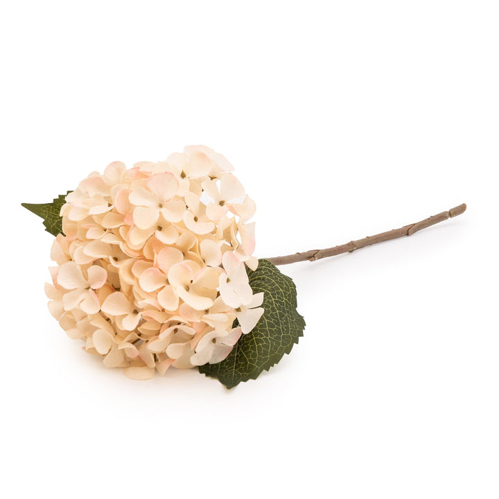 Hydrangea Single Stem Faux Flower - Blush Cream
