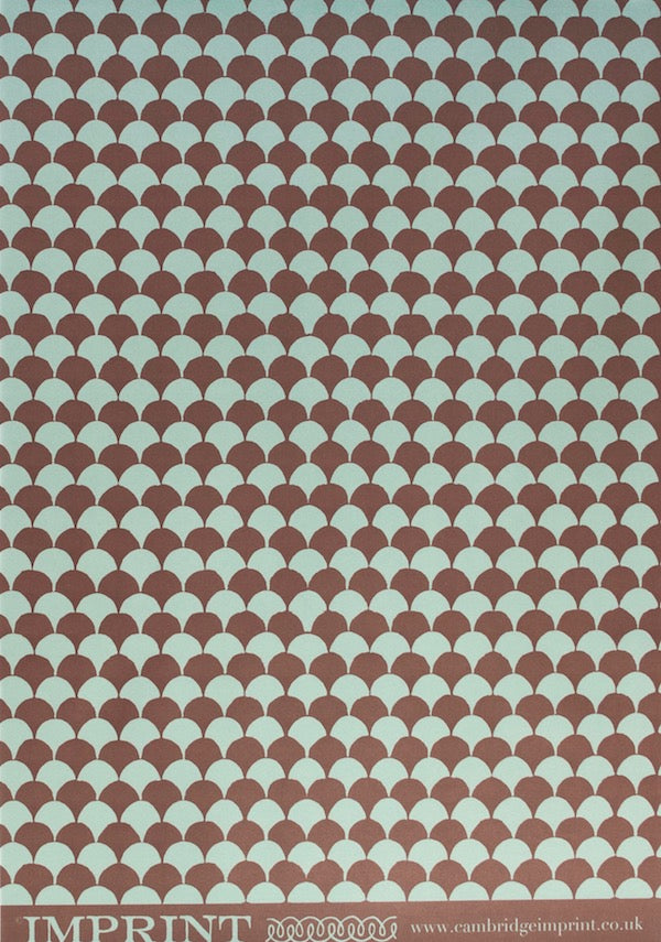 Clamshell Teal and Chocolate Gift Wrap