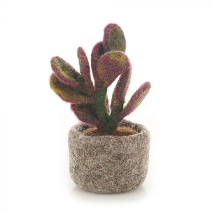 Miniature Felt Plants