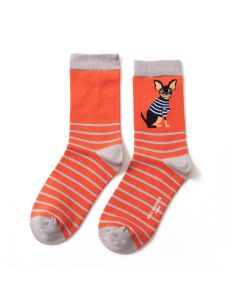 Ladies Bamboo Socks - Chihuahua Stripes
