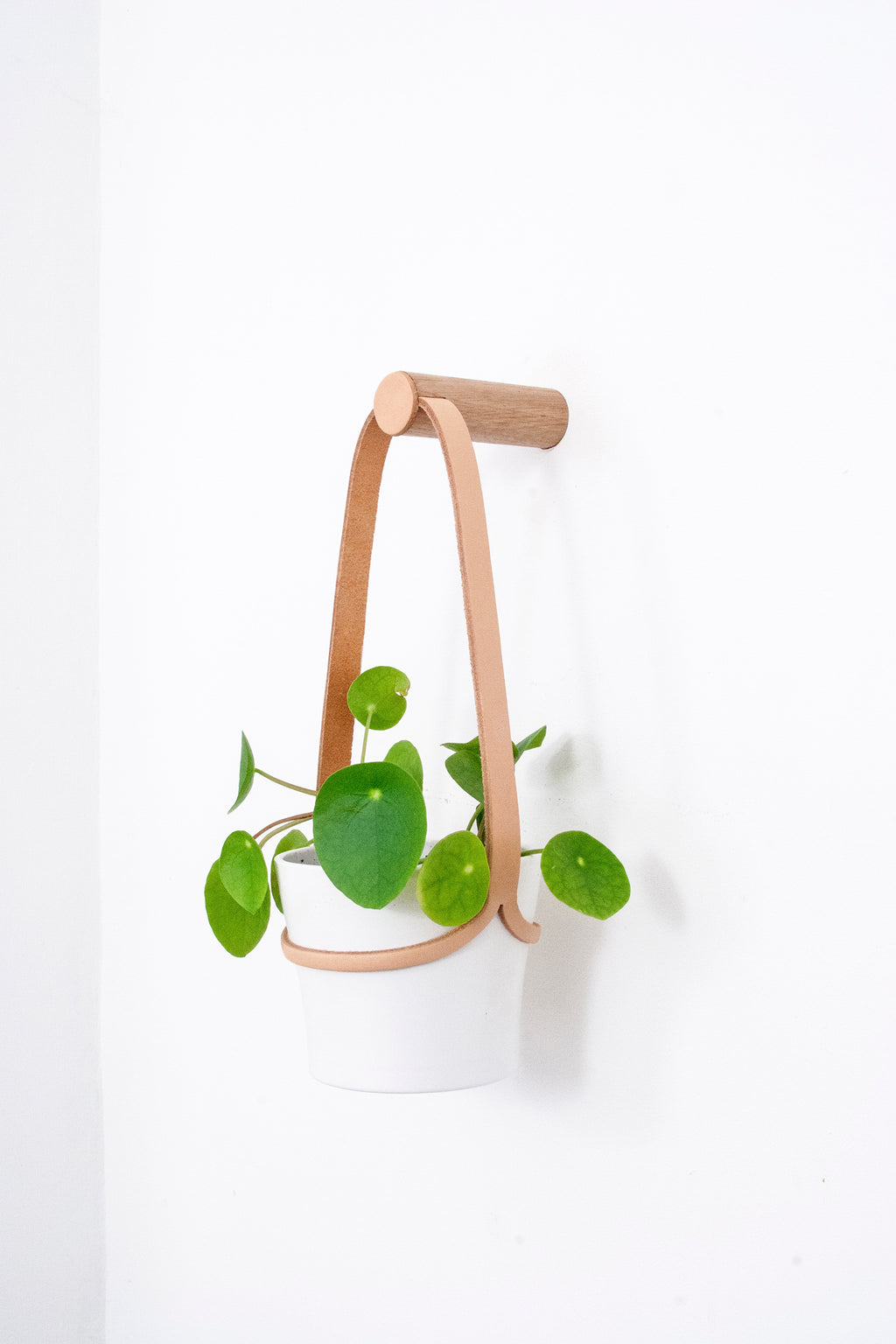 Peg Wall Planter - Light Tan