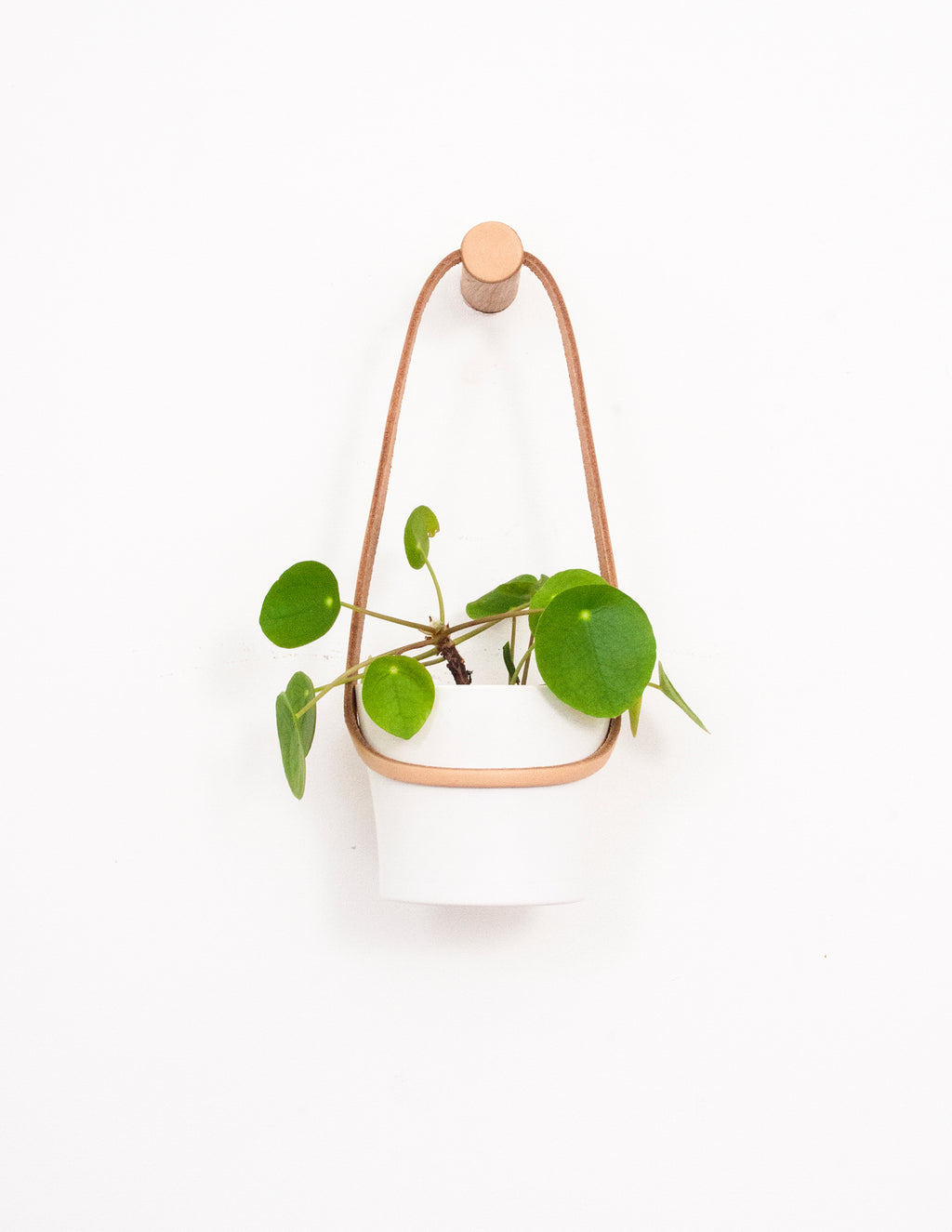 Peg Wall Planter - Light Tan