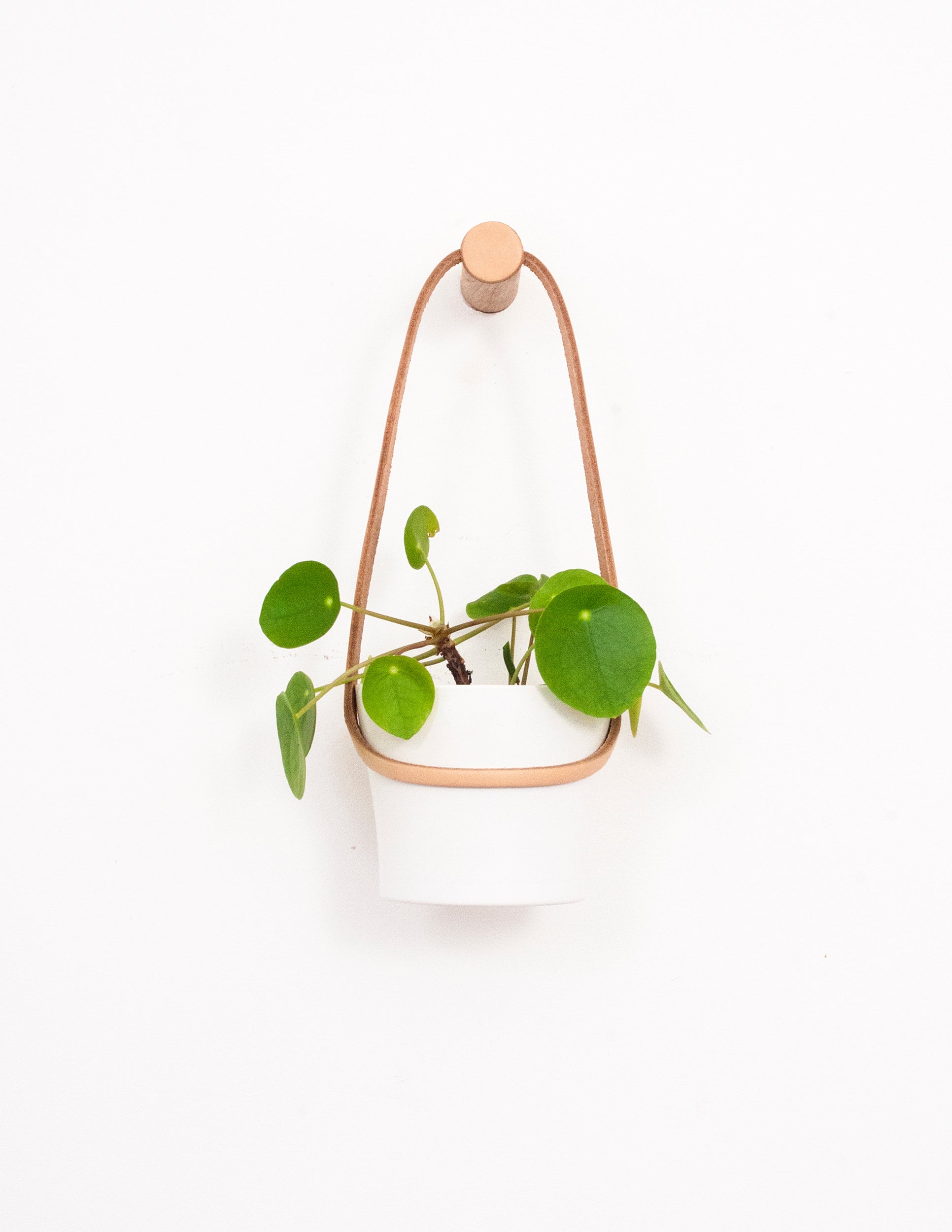 Peg Wall Planter - Light Tan